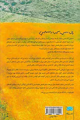 عباس کیارستمی و فیلم فلسفه